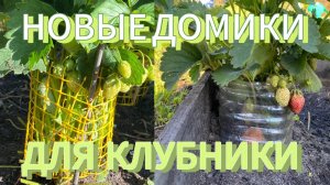 ЧТО ДЕЛАТЬ, если ягоды КЛУБНИКИ лежат на земле?