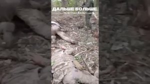 Бк закончилось, попали в плен, виризжат как свиньи - хотят жить... такие они "боевики всу"...