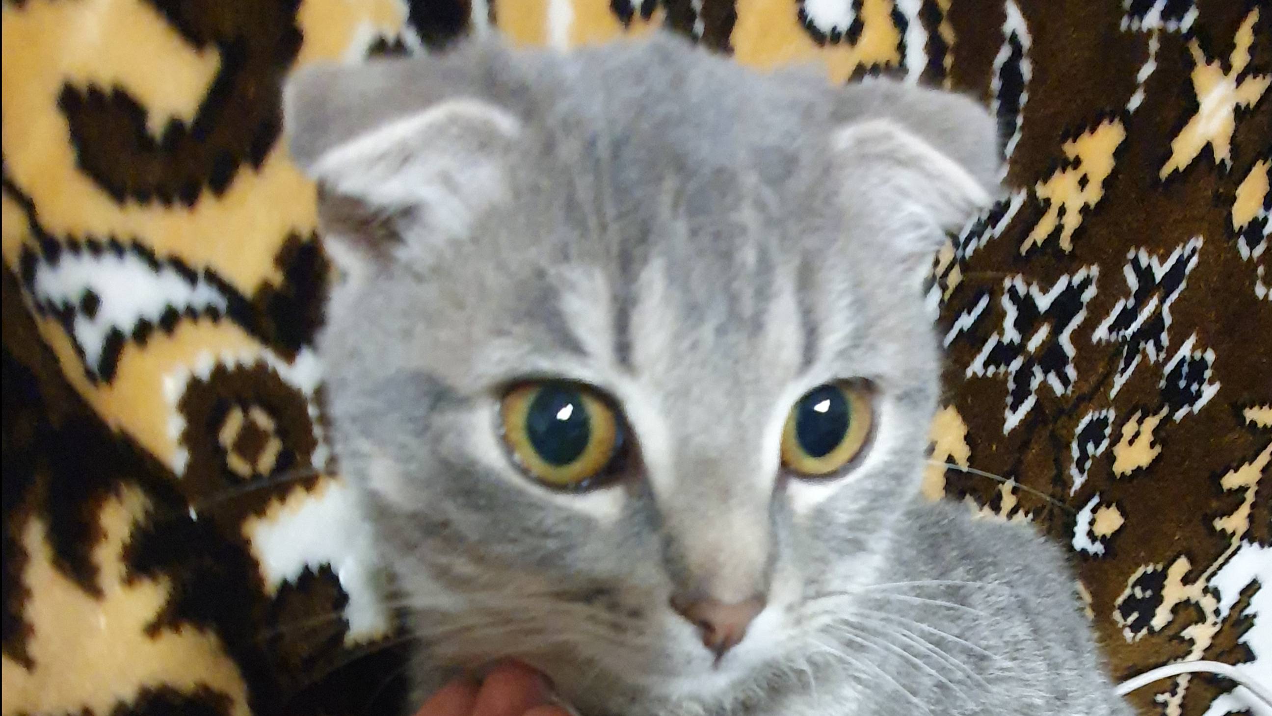 Ну что ж, ToE 2 Погнали...