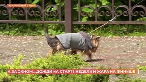 А за окном. 19 мая 2025