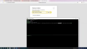 5 Docker хранилища Volumes(Практика 2025)