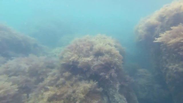 Туапсе 2o2o смотреть онлайн