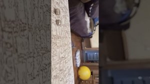 как приучить кота к лежанке