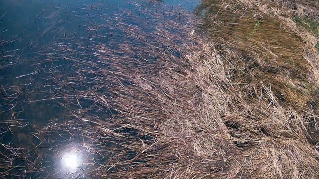 SLAMMY PRODUCTION - Велопробег за Волгой смотреть онлайн