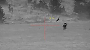 тепловизионный прицел Pard SA31-35LRF