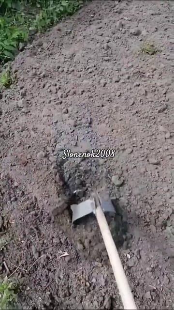 Плоскорез Стриж. БРАТ СОВЕТУЕТ ☝️😉👍 смотреть онлайн