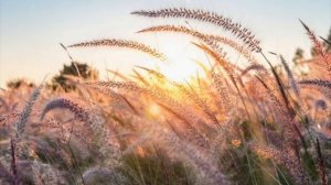 Красивая расслабляющая музыка для снятия стресса, повышения мотивации, медитации