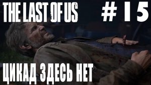 The last of Us #15 ЦИКАД ЗДЕСЬ НЕТ
