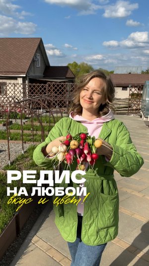 🫜 Урожай редиса – на любой вкус и цвет!