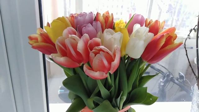 Массажная подушка - хороший подарок. смотреть онлайн