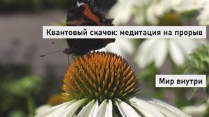 Квантовый скачок: Медитация на прорыв, изобилие и новую реальность | Глубокая трансформация