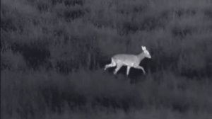 Стойка за термо камера iRay Finder FH50R с дистанционно управ?