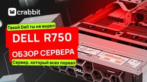 Dell R750 — зверь для дата-центра! Обзор от Crabbit