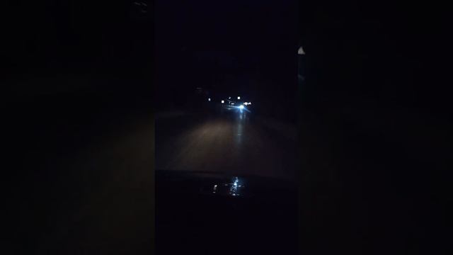 Вся дорога в лягушках и дождевых червяках