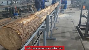 фрезерно пильный станок СПТ-320 проходного типа для тон