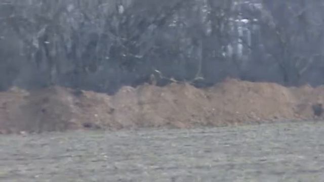 Народная самооборона Снежное 12ч. видео-отчет 31 03 2014 смотреть онлайн