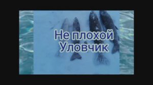 Рыбалка! Зима-Весна. 
10 Марта 2025 года.
