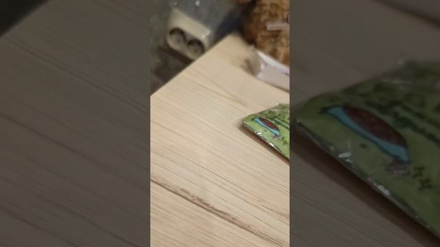 бумажная собачка мини 💕влог💕 смотреть онлайн