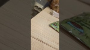 бумажная собачка мини 💕влог💕