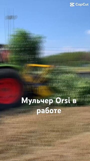 Арендовал мульчер 🔥 смотреть онлайн