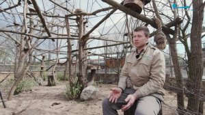 Мы — петербуржцы. Андрей Сулоев