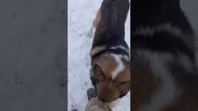 як сильно він любить мяч смотреть онлайн