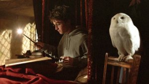 20_29_17Роскомнадзор не планирует блокировать "Игру престолов" и "Гарри Поттера"