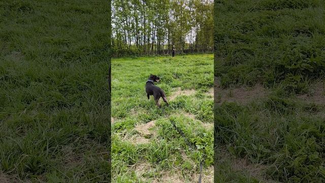 rutube.ru