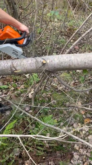 STIHL - MS 180 запуск і робота! смотреть онлайн