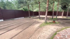 Подготовка к газону участка с соснами