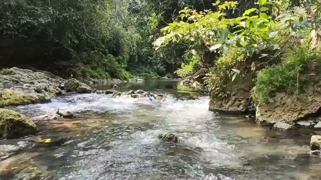 ЗАМЕЧАТЕЛЬНЫЕ ПРАКТИКИ!! ТОВАРЫ, МАГАЗИН РУКЬЯ, ОФИС, Д смотреть онлайн