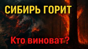 Сибирь в огне: почему горят леса и кто за это ответит?