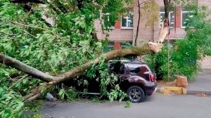 Ураган валил деревья и срывал облицовку с домов в Казахстане. Жара в Армении. Погода в СНГ