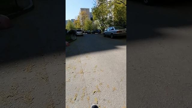 Какая красота, гармония шуршу по асфальту