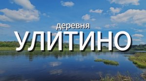Двухэтажный дом с баней, теплицей и яблонями в близи реки Волги, д. Улитино