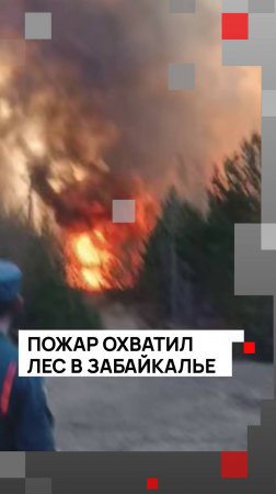 Пожар охватил лес в Забайкалье