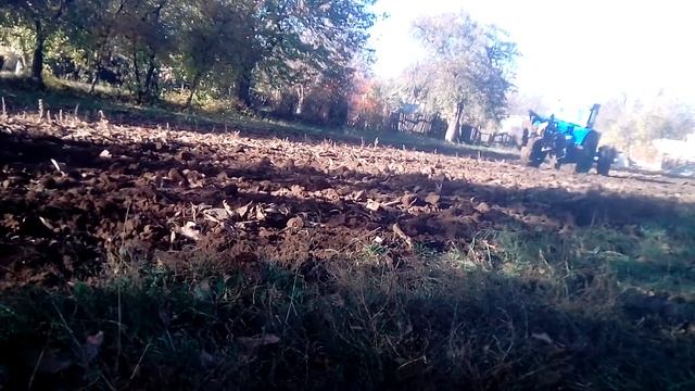 Мій Т-40 ...Оранка!!! плуг 3-25 смотреть онлайн