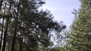 Если Вы решили уволиться...