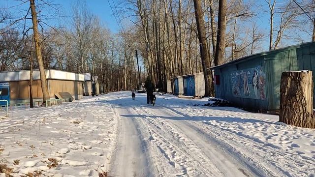 На прогулке набрели на старую турбазу с домиками с советских времён...Собаки местные напали на нас.