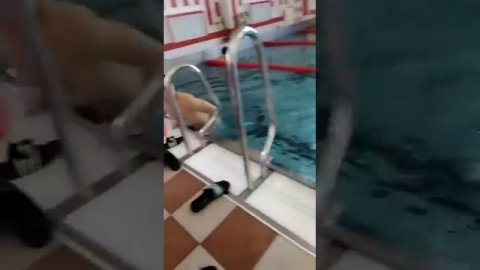 занятия студенты бассейн