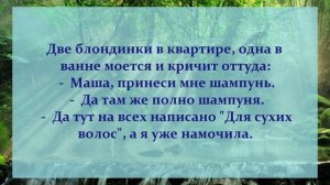 10. АНЕКДОТЫ ОТ И ДО