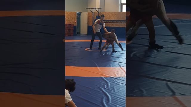 греко-римская борьба смотреть онлайн