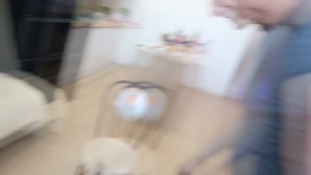 ВЫБЕРИ ПРАВИЛЬНЫЙ СТУЛ ЧТОБЫ ВЫЖИТЬ ЧЕЛЛЕНДЖ! смотреть онлайн