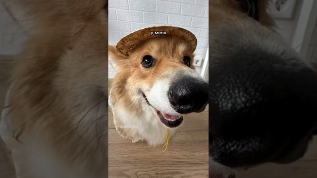 #мебель #комфорт #shorts #26stav #ставрополь #выгодно #идеи #ре смотреть онлайн