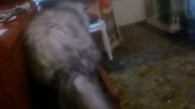 Алиса и шкаф 2 смотреть онлайн