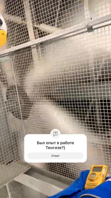 #вахта#работа#обзор#строительство#стройка#сварка#меха смотреть онлайн