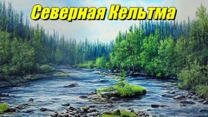 Северная Кельтма