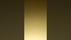 игла картриджа ELAC 355-17. проверка