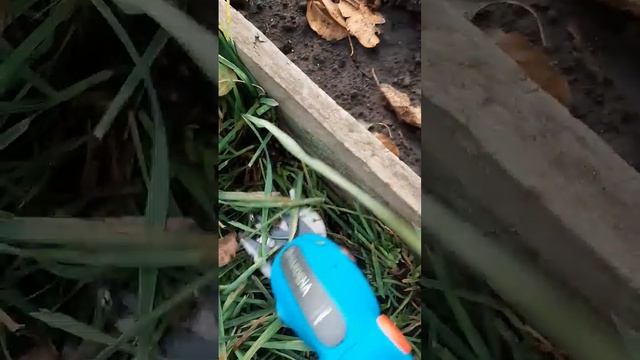 Аккумуляторные ножницы для травы GARDENA  9856 смотреть онлайн