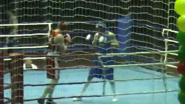 91 кг Вихтюк Дмитрий  Киев + Усик Александр Крым  ,Чемпи смотреть онлайн